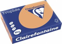 Clairefontaine Trophee Color FSC Mix camel 80g/m²...