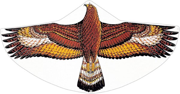 Paul Günther 1146 - Kinderdrachen mit Steinadler Motiv, Einleinerdrachen aus robuster PE-Folie für Kinder ab 4 Jahre mit Wickelgriff und Schnur, ca. 122 x 68 cm groß