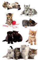 AVERY Zweckform 55971 Papier-Sticker Katzen 21 Aufkleber...