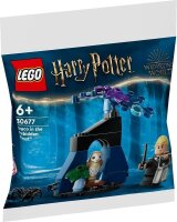 LEGO Konstruktionsspielzeug Harry Potter Draco im Verbotenen Wald