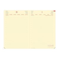 Quo Vadis 377008Q – Agenda 12 Monate DAILY 24 ENE – DIC 24 Mehrsprachig 1-Tages-Seite A5+ – 16 x 24 cm MARKE Marrón 2025